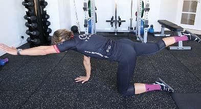 Core Training For Cyclists - Paused bird dog 2 Paused bird dog 2